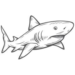 Bull Shark Line Art Illustration Isolated
