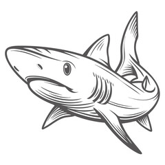 Elegant Blue Shark Outline Illustration, Prionace Glauca