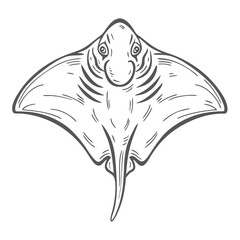 Cownose Ray Rhinoptera Illustration, Isolated