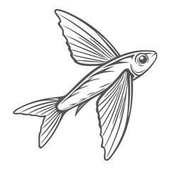 Flying Fish Line Art, Tropical Exocoetus Volitans