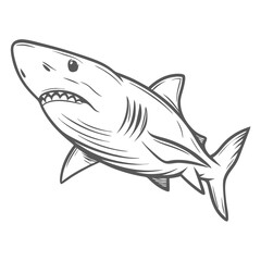 Great White Shark Outline Illustration, Carcharodon Carcharias