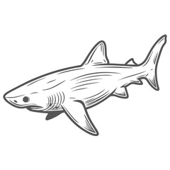 Thresher Shark Outline Illustration, Alopias Vulpinus