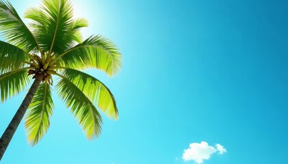 Vibrant palm tree leaves against a clear blue sky backdrop, nature, paradise, relaxation