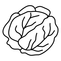 Hand Drawn Cabbage Doodle