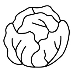 Hand Drawn Cabbage Doodle