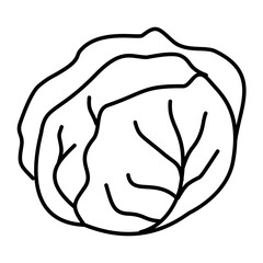 Hand Drawn Cabbage Doodle