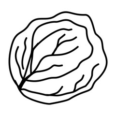 Hand Drawn Cabbage Doodle