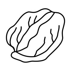 Hand Drawn Cabbage Doodle