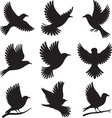 Obraz premium A collection of black bird silhouettes in various flying and perched positions, displayed on a white background