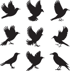 Fototapeta premium A collection of black bird silhouettes in various flying and perched positions, displayed on a white background