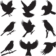 Obraz premium A collection of black bird silhouettes in various flying and perched positions, displayed on a white background
