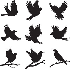 A collection of black bird silhouettes in various flying and perched positions, displayed on a white background