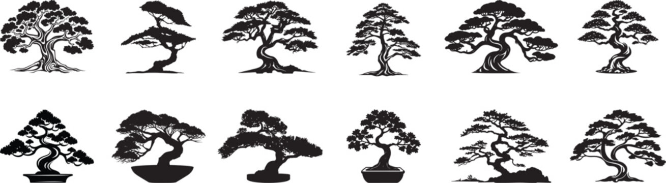 Set of Beautiful bonsai tree, Japanese Tree Silhouette.