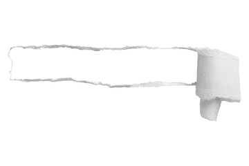 white torn or ripped paper sheet. Scrapbook edge, notebook tear or blank page split vector illustration. Abstract realistic ornament or decoration clip art for social media banner background. 