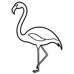 flamingo vector illustration