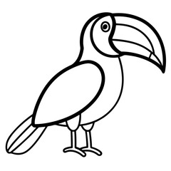toucan bird vector illustration