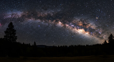Milky Way Galaxy Over Forest at Night Under Starry Sky