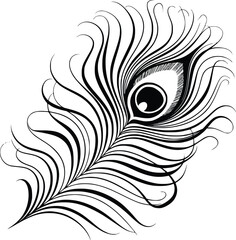 Black and white bold vector of a peacock feathers, isolated on white background.