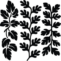 Black and white bold vector of a jungle vines, isolated on white background.