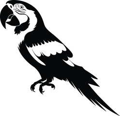Black and white bold vector of a colorful parrot, isolated on white background.