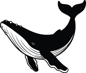 Black and white bold vector of a blue whale, isolated on white background.