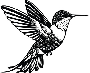 Black and white bold vector of a vibrant hummingbird, isolated on white background.
