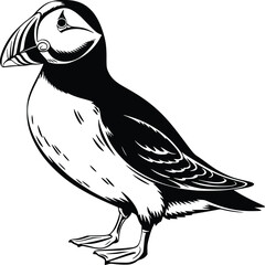 Black and white bold vector of a puffin bird, isolated on white background.