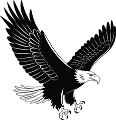 Black and white bold vector of a bald eagle soaring, isolated on white background.