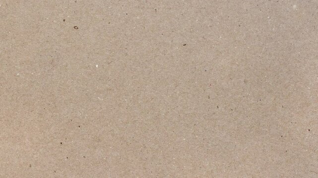This clip features seven animated paper textures. Each texture plays for four seconds, at 5 frames per second, and can be looped to last as long as needed. Use them as backgrounds or design elements.