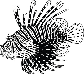 Naklejka premium Black and white bold vector of a lionfish spines spread, isolated on white background.