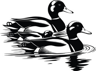 Black and white bold vector of a duck family swimming, isolated on white background.