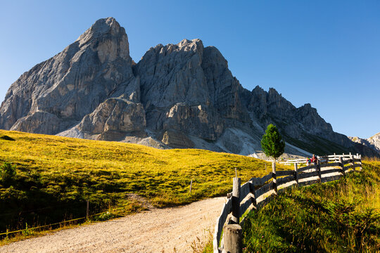 Narrow country road, fenced with wooden fence, runs among picturesque summer meadows in Mont-de-Fornel region, Dolomites.