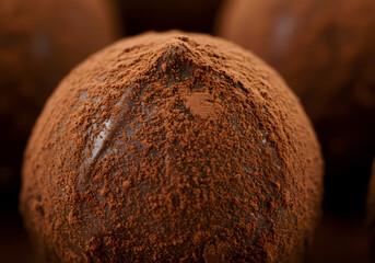 Ultra-Close Cocoa-Dusted Praline Texture Contrast