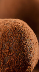 Ultra-Close Cocoa-Dusted Praline Texture Contrast
