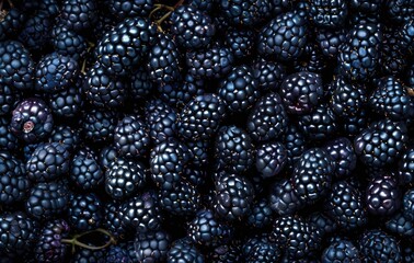 close-up image of fresh ripe blackberries densely packed together showing detailed texture and deep dark purple color