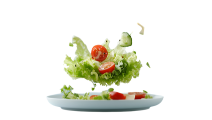 Vegetable plates with meat, fish and eggs. Complete diet for the day. Various breakfasts, lunches, snacks. Time to eat healthy foods. Eating by the hour. Health concept.