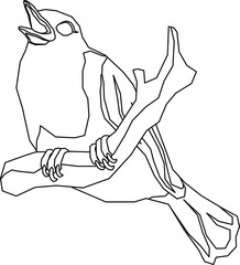 Bird Illustration