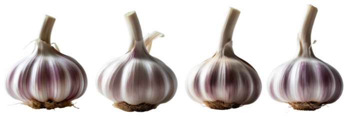 Set de ajos aislados sobre fondo transparente. PNG.