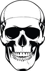 Black and white bold vector of a realistic skull, isolated on white background.