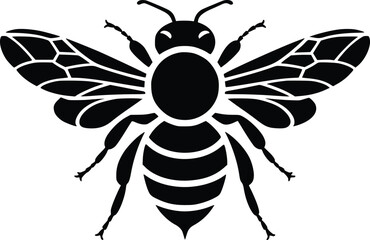 Black and white bold vector of a honey bee, isolated on white background.