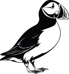 Black and white bold vector of a puffin bird, isolated on white background.