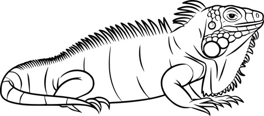 Black and white bold vector of a iguana resting, isolated on white background.