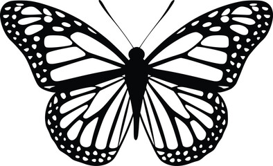Black and white bold vector of a butterfly landing, isolated on white background.