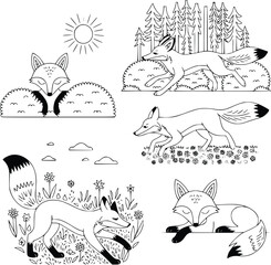 Bold black and white hand-drawn illustrations of 4 foxes doodling sneaking through bushes, running in forests, hunting in meadows, and relaxing in the sun, isolated on white.