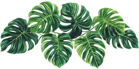 The image shows an artistic depiction of a group of large, vividly colored tropical leaves on a vine.