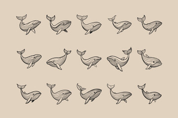 blue whale sea mammal line art vector illustration.