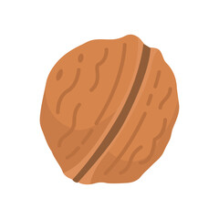Walnut vector flat icon. Cartoon illustration of whole nut in shell and kernel.