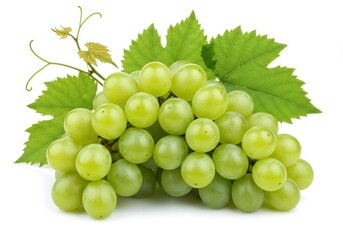 Obraz premium A bunch of green grapes with leaves attached isolated on a plain white background close up view