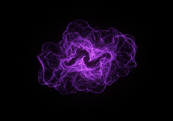 Purple flower blooms on black background, showcasing vibrant color contrast.