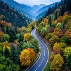 Fototapeta premium Winding Road Through Autumnal Forest Aerial View of Colorful Fall Foliage